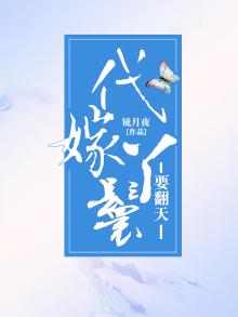 代嫁丫鬟书籍