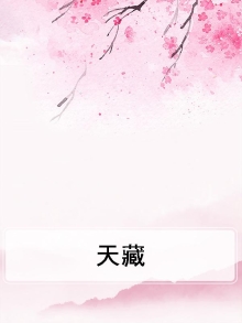 天藏