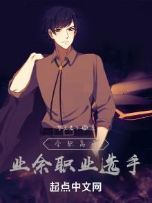 全职高手:业余职业选手小说