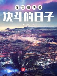 在霍格沃兹决斗的日子 网盘
