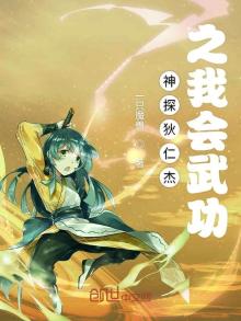 神探狄仁杰之神功