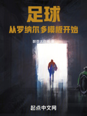 足球:开局就是巅峰罗纳尔多