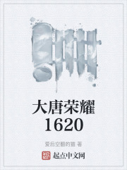 大唐荣耀1620