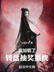 转盘抽奖系统的小说