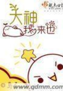 神偷我来也