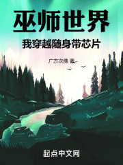 穿越:巫师世界
