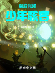 少年骇客未来是哪几集