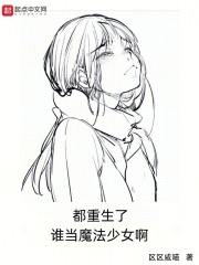重生成为魔法少女的小说