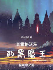 霍格沃茨成为黑魔王的小说