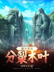 木叶之宇智波封火