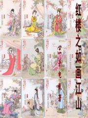 红楼之如画江山二手电瓶小说