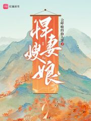 电视剧悍妻
