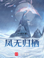 凤鸾未归 小说