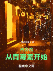 四合院从捕快