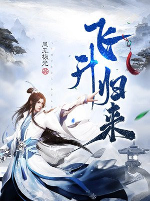风无极光飞升归来