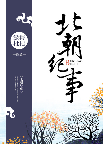 北朝纪事评价