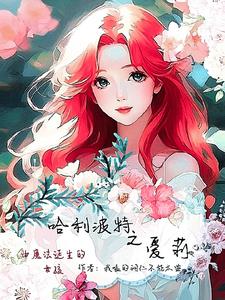 哈利波特莉莉小说