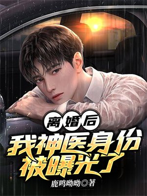 离婚后神医身份曝光了洛无荡