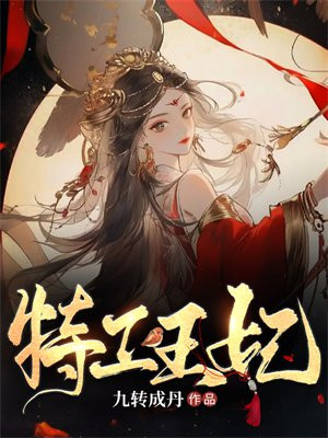 特工王妃穆九九小说