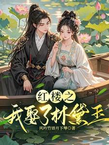 红楼娶林黛玉小说