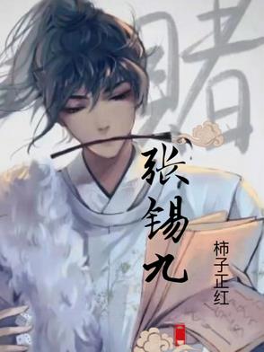张锡九在聊城工作经历与成就