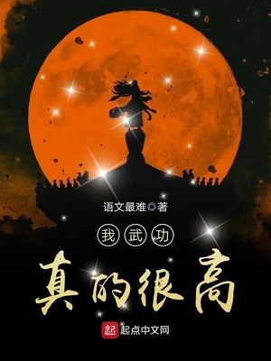 我武功真的很高小说