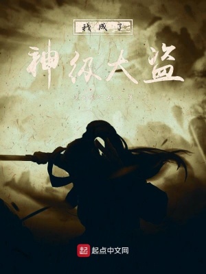 我成为了神级盗贼[全息] 小说