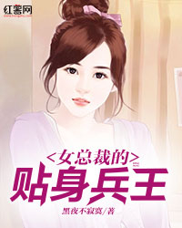 女总裁的贴身高手101
