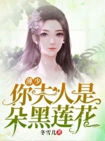 薄少,你夫人是朵黑莲花电视剧