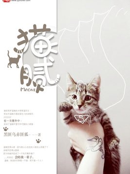 猫腻新书