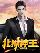 北境神王全集