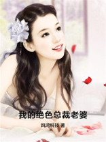 我的绝色总裁老婆第六集