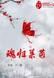 魂归莱茵txt