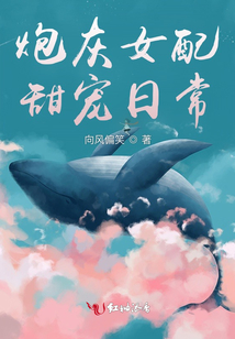 炮灰女配甜宠日常向风偏笑