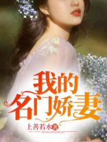 我的名门娇妻全文免费阅读全文