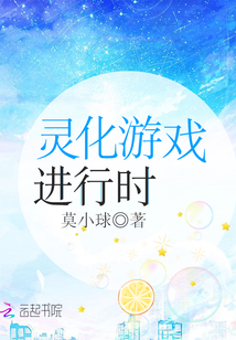 灵化游戏进行时书评