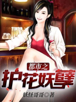 都市之护花妖孽完整版