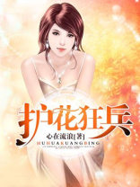 护花狂兵叶苍天全文