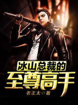 冰山总裁的至尊高手 老正太下载
