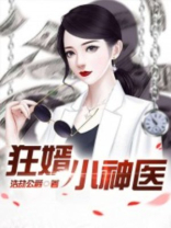 狂婿神医陆羽