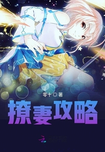 撩妻手札小说