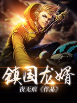 镇国龙婿