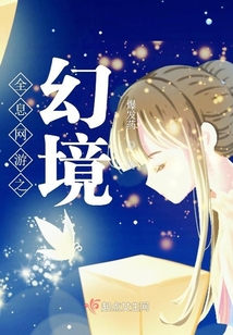 全息网游之幻境txt