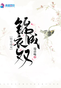 锦衣成双小说