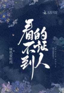 看不到的证人下载