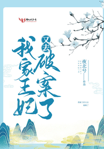 我家王妃又去破案了txt
