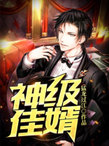 佳婿神书