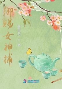 御赐女神探