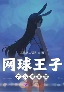 网球王子后期