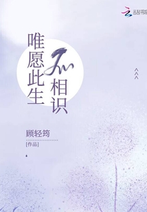 唯愿此生不相识小说